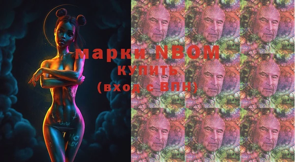 гашик Богданович
