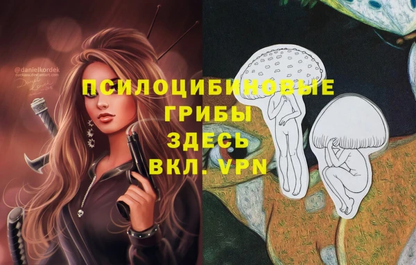 гашик Богданович