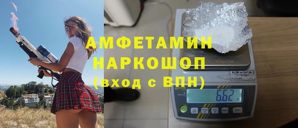 гашик Богданович
