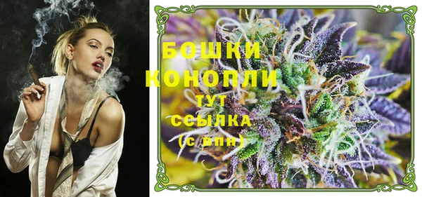 гашик Богданович