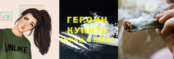 гашик Богданович