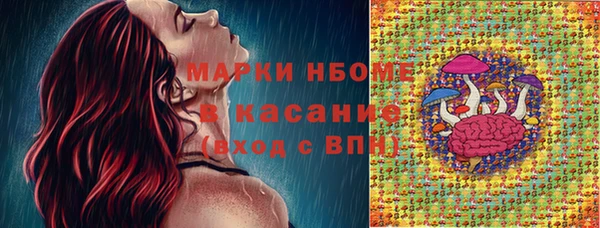 гашик Богданович