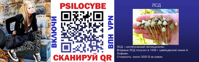 Галлюциногенные грибы GOLDEN TEACHER  hydra ссылки  Волосово  даркнет сайт 